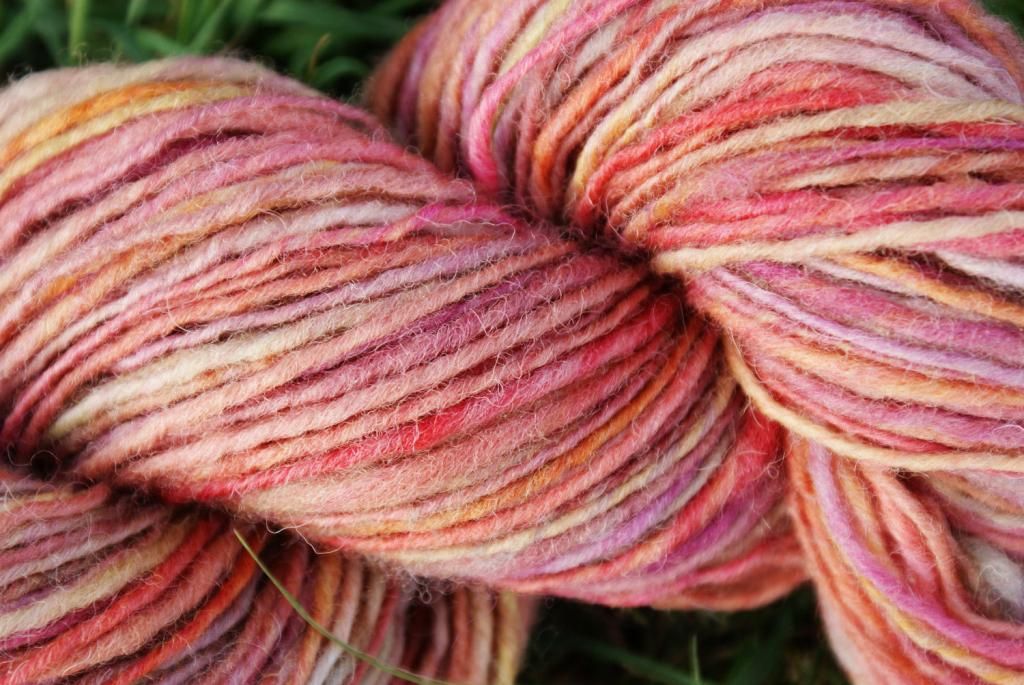 Happy Daisy Knitting Adventures Yarn Store Spotlight